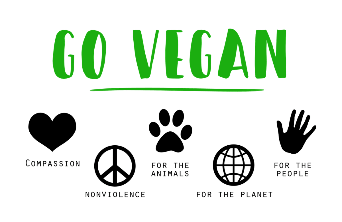 vegan, go vegan, compassion, sign, text, written, environmental, veganism, plant-based, planet, nature, animal, environment, lifestyle, welfare, word, go